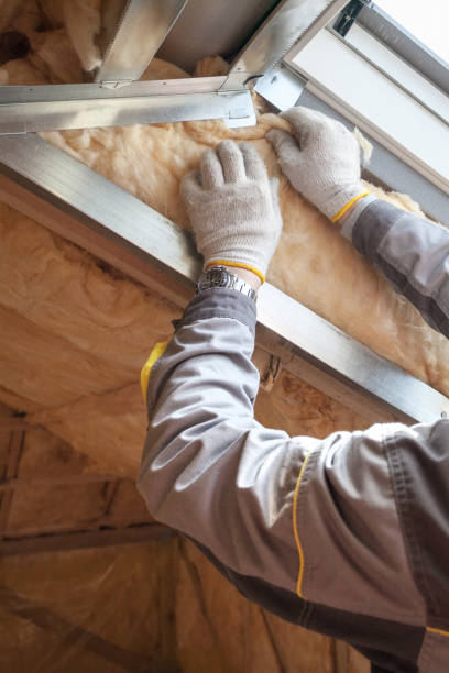 Best Insulation Maintenance and Repair in Erin, TN